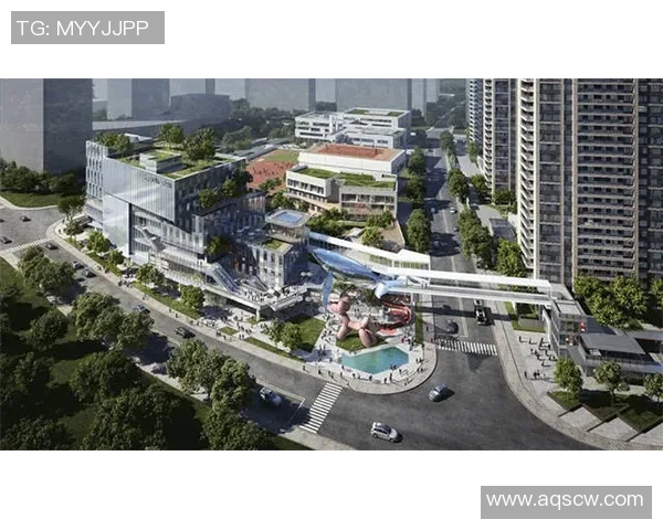 聚焦足球周刊球星卡t2收藏价值与独特魅力全方位深度解读